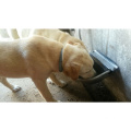 OEM deep drawn stainless steel galvanized steel drinking bowl for dogs / cow / piglets / rabbits / horse